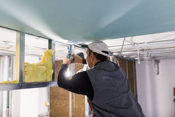 Best Eco-Friendly Insulation in Seneca, MO