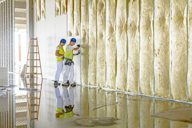 Professional Insulation Contractor in Seneca, MO
